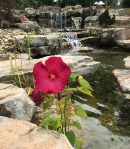 elaborate built in pond with waterfall