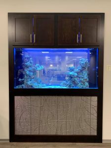 see through glass aquarium in an office
