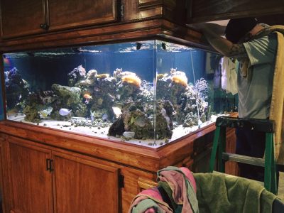 man installing a large built in aquarium