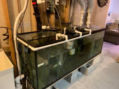 piping surrounding a fish tank