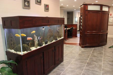 custom built in fish tank