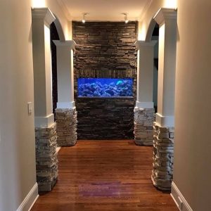 aquarium built into a stone wall